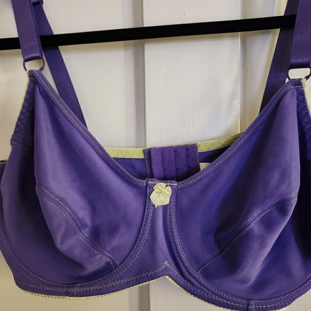 Native Intimates Underwire Adjustable Strap Bra Size 40D - Picture 3 of 6